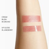Lip & Cheek Bestsellers Kit