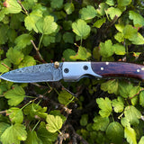 EDC Pocket Knife