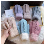 Fleece Lined Knit Mittens