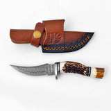 Deer Horn Trailblazer Damascus  Knife