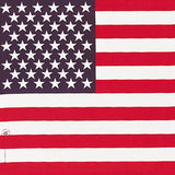 American Flag Bandana