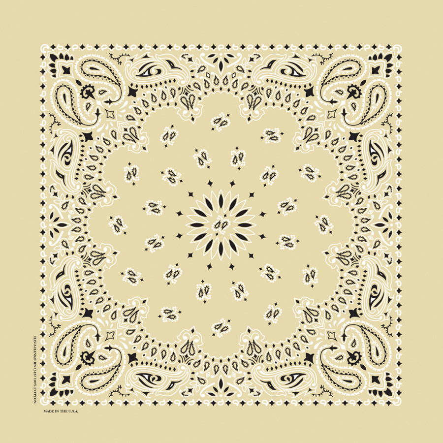 Paisley Bandana