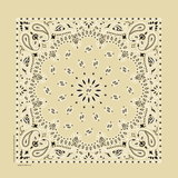 Paisley Bandana